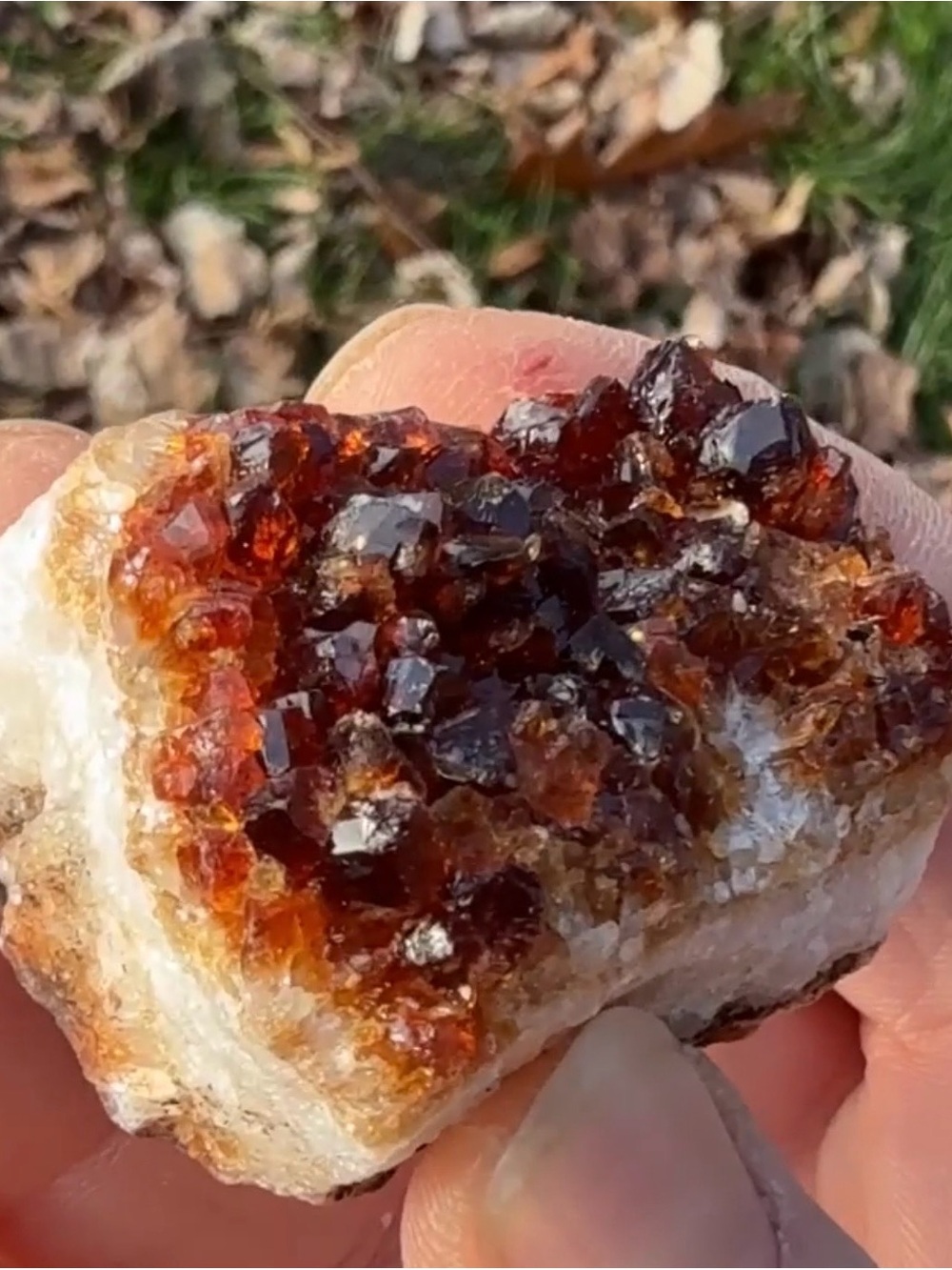 Natural Citrine and Quartz Crystal, Wandering Bunny LLC